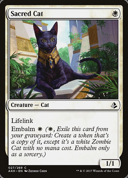 Sacred Cat - Amonkhet:  - 27 - Lightly Played