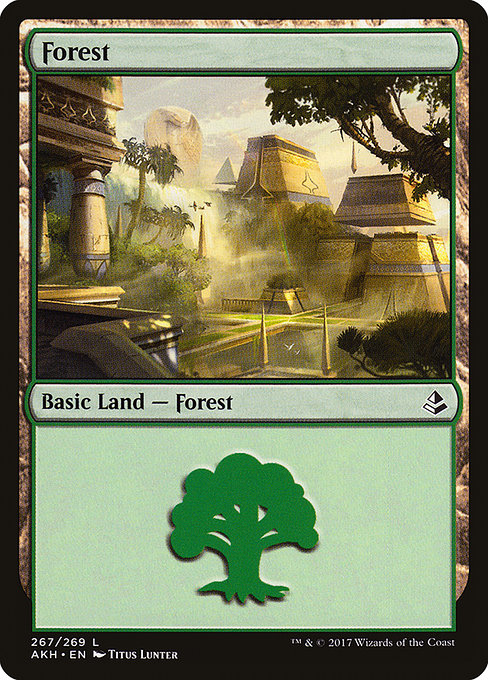 Forest (267) - Amonkhet:  - 267 - Lightly Played