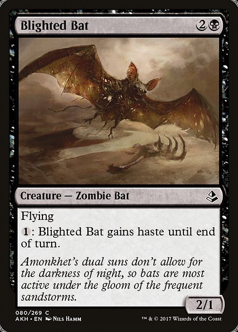 Blighted Bat - Amonkhet:  - 80 - Near Mint