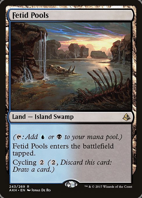 Fetid Pools - Amonkhet:  - 243 - Near Mint